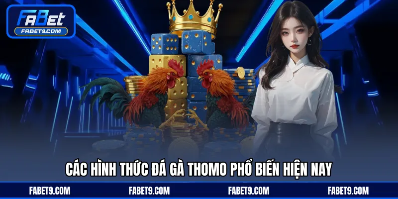 Đá Gà Thomo - Trải Nghiệm Đấu Trường Hấp Dẫn Mỗi Ngày - Kivex