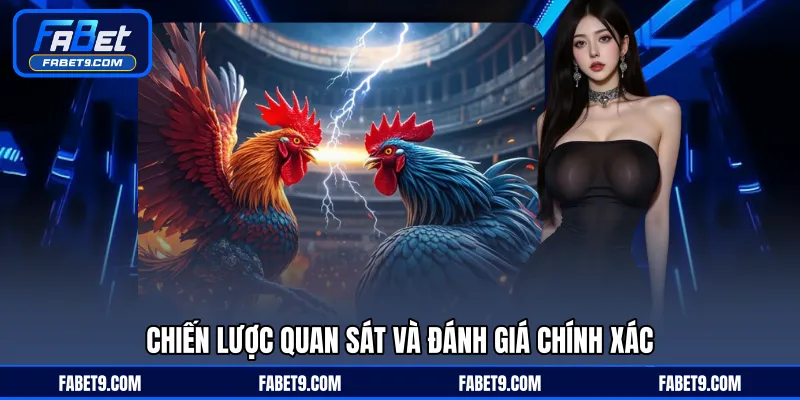 Đá Gà FABET - Trực Tiếp Thi Đấu Kịch Tính Với Tỷ Lệ Chuẩn - Kivex