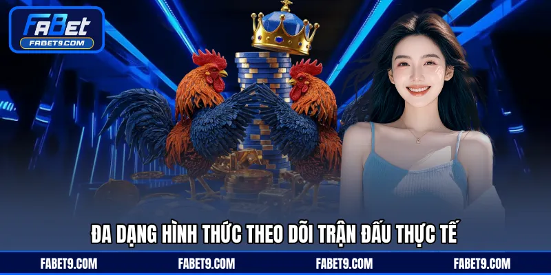 Đá Gà Trực Tiếp - Theo Dõi Và Phân Tích Trận Đấu Hiệu Quả - Kivex