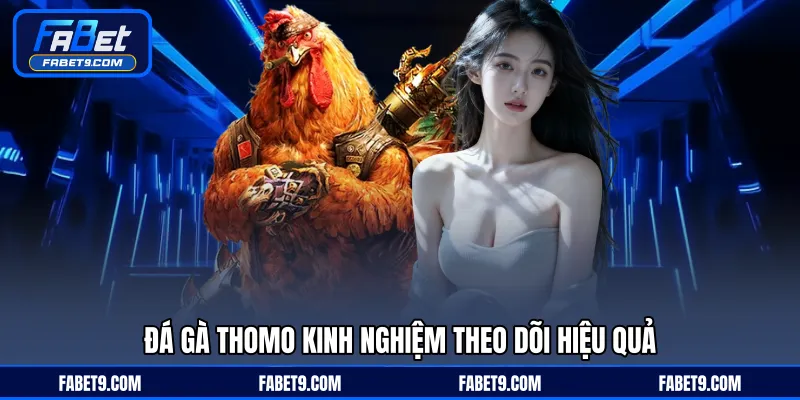 Đá Gà Thomo - Trải Nghiệm Đấu Trường Hấp Dẫn Mỗi Ngày - Kivex
