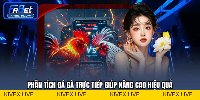 Đá Gà Trực Tiếp - Theo Dõi Và Phân Tích Trận Đấu Hiệu Quả - Kivex