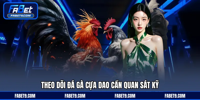 Đá Gà Cựa Dao - Hình Thức Thi Đấu Nhanh Và Kịch Tính - Kivex