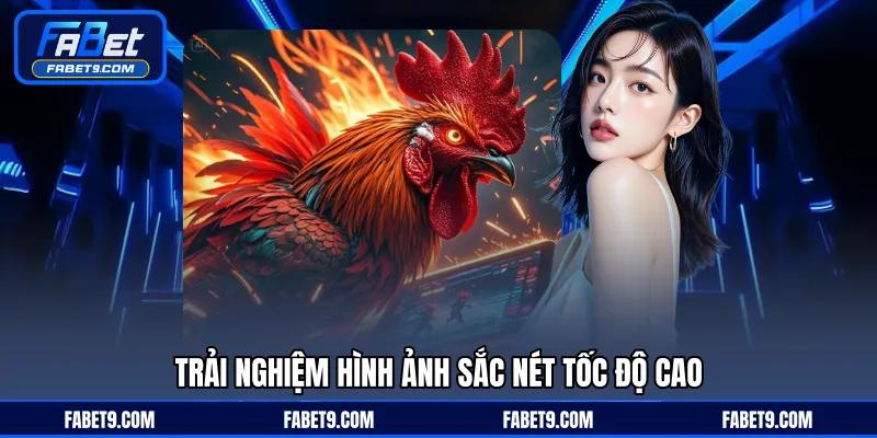 Đá Gà Trực Tiếp - Theo Dõi Và Phân Tích Trận Đấu Hiệu Quả - Kivex