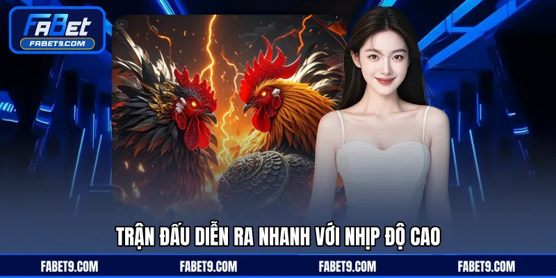 Đá Gà Cựa Dao - Hình Thức Thi Đấu Nhanh Và Kịch Tính - Kivex