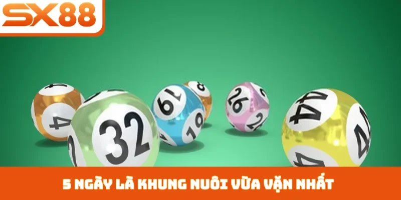 Nuôi Khung Bạch Thủ Lô - Bí Kíp Chọn Số Từ Cao Thủ SX88 - Kivex