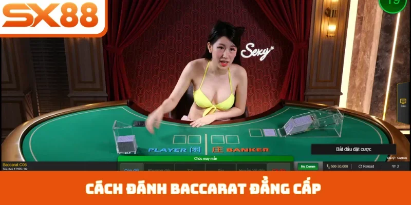Cách Đánh Baccarat SX88 - Chinh Phục Trò Chơi Quý Tộc - Kivex