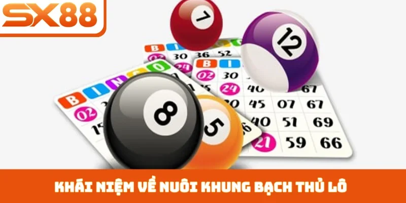 Nuôi Khung Bạch Thủ Lô - Bí Kíp Chọn Số Từ Cao Thủ SX88 - Kivex