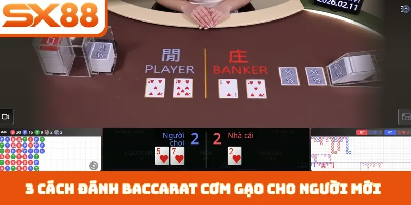 Cách Đánh Baccarat Cơm Gạo - 3 Bí Quyết Kiếm Tiền Tại SX88 - Kivex