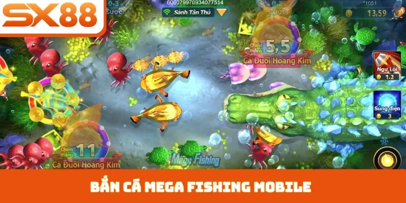 Soi Kèo Bằng AI Script - Cách Cài Đặt Cho Người Mới Bắt Đầu - Kivex