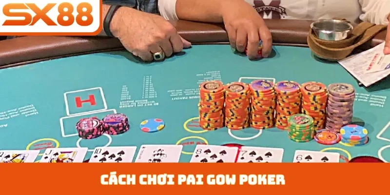 Tin Tức SX88 ✔️ Cập Nhật Nhanh – Chính Xác – Mới Nhất 2026 - Kivex