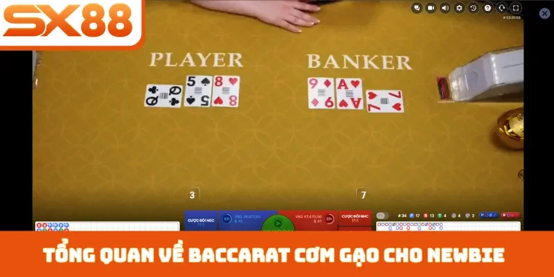 Cách Đánh Baccarat Cơm Gạo - 3 Bí Quyết Kiếm Tiền Tại SX88 - Kivex