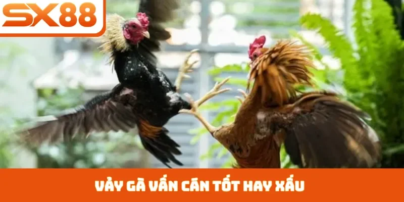 Kèo Châu Á SX88 - Hình Thức Giải Trí Bóng Đá Hấp Dẫn - Kivex