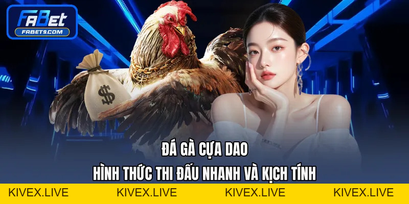 Đá Gà Thomo - Trải Nghiệm Đấu Trường Hấp Dẫn Mỗi Ngày - Kivex
