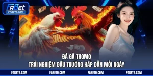 Đá Gà FABET - Trực Tiếp Thi Đấu Kịch Tính Với Tỷ Lệ Chuẩn - Kivex
