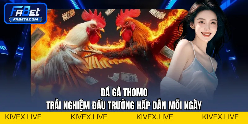 Đá Gà Thomo - Trải Nghiệm Đấu Trường Hấp Dẫn Mỗi Ngày - Kivex