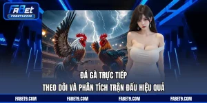 Đá Gà FABET - Trực Tiếp Thi Đấu Kịch Tính Với Tỷ Lệ Chuẩn - Kivex