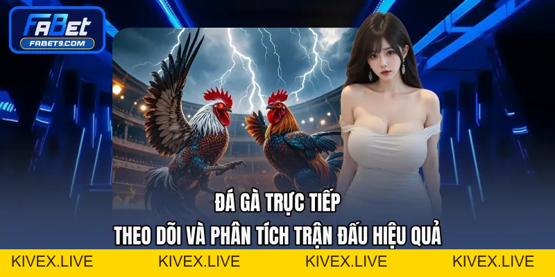 Đá Gà Thomo - Trải Nghiệm Đấu Trường Hấp Dẫn Mỗi Ngày - Kivex