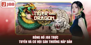 Casino J88 Trực Tuyến Đẳng Cấp Với Nhiều Trò Chơi Hấp Dẫn - Kivex